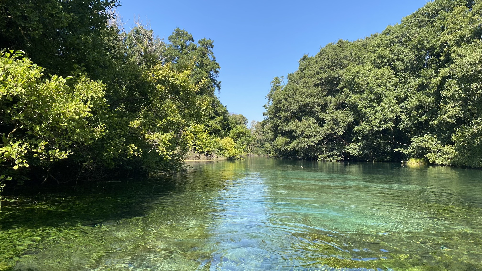 Balkan Turu 2. Gün Ohrid Gölü