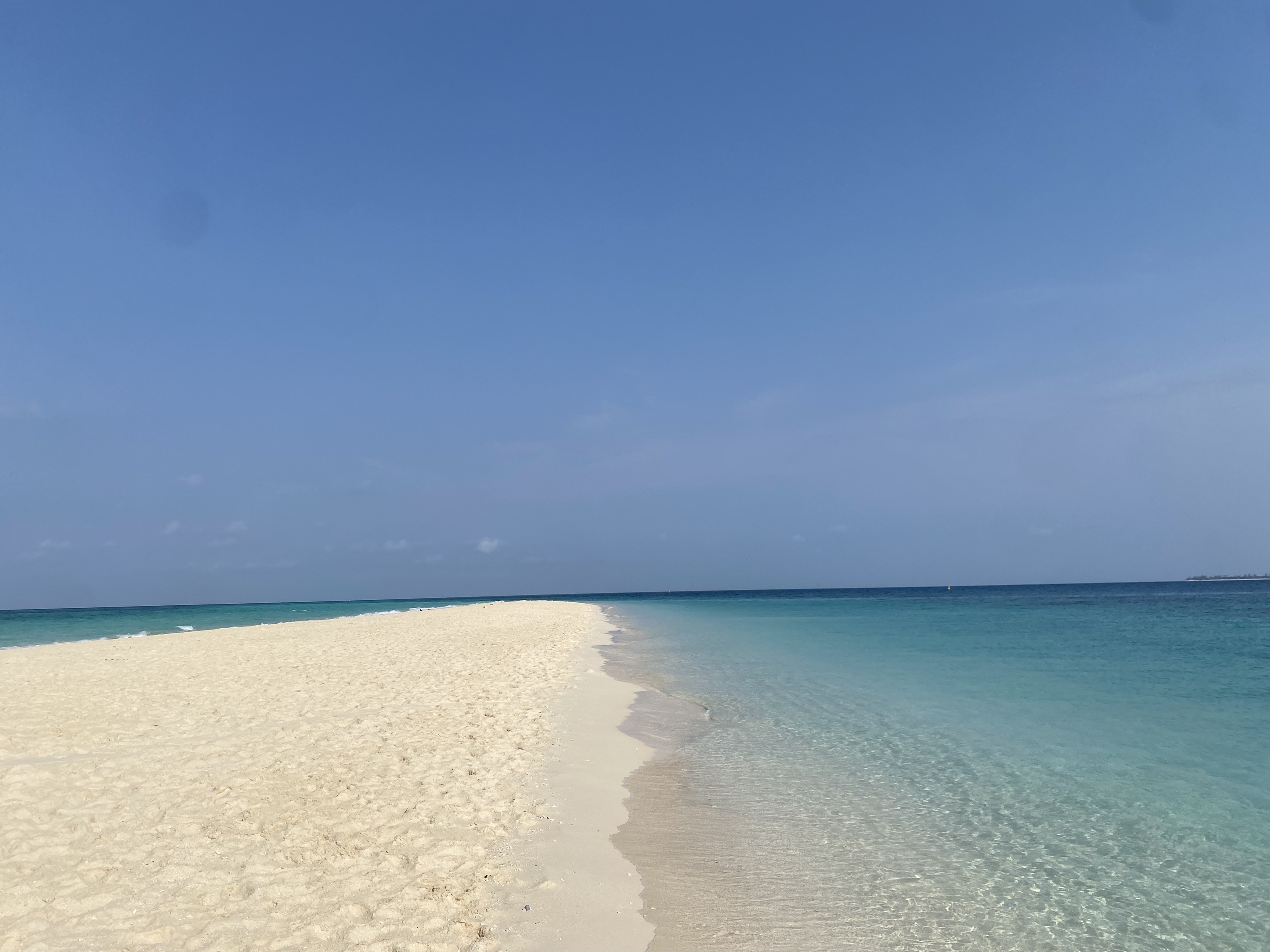 Zanzibar İkinci Gün Kapak