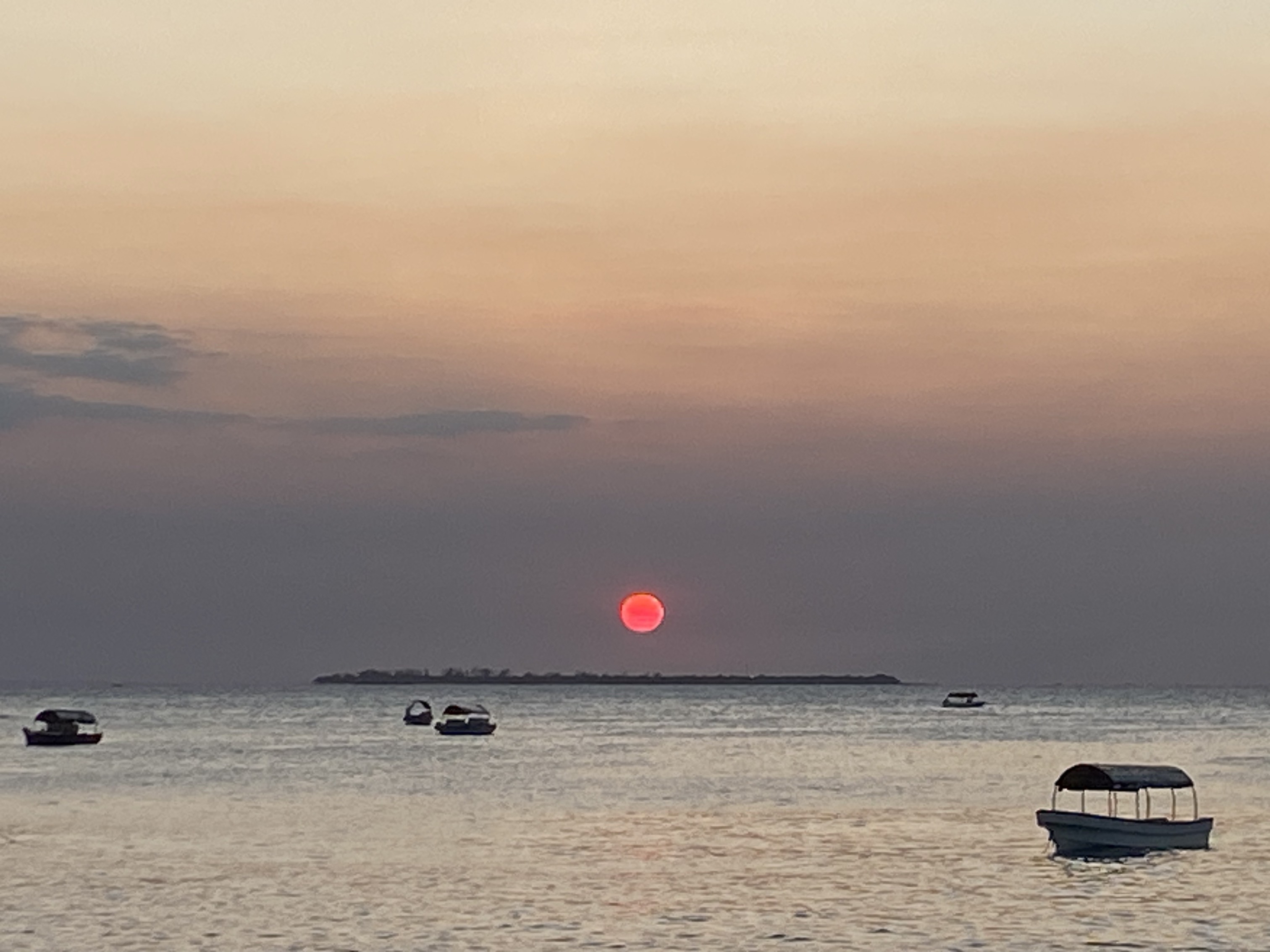 Zanzibar Altıncı Gün Kapak