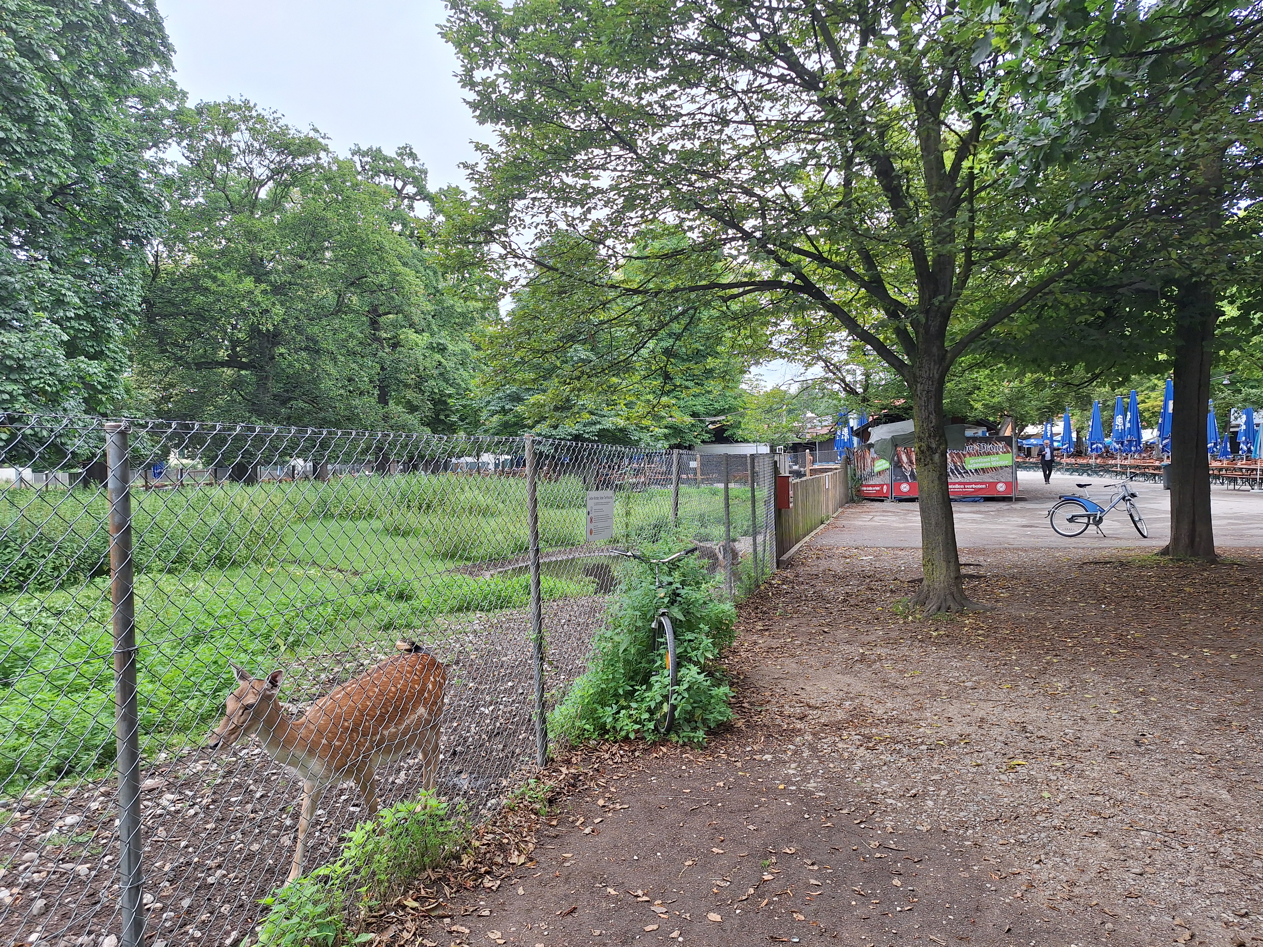 Hirschgarten.jpg